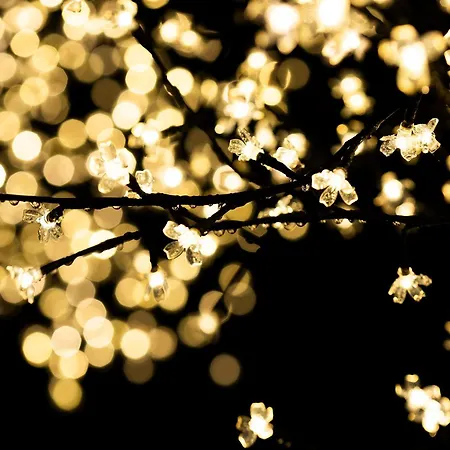 Akartegi By Basquelidays