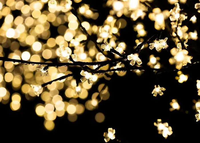 Akartegi By Basquelidays